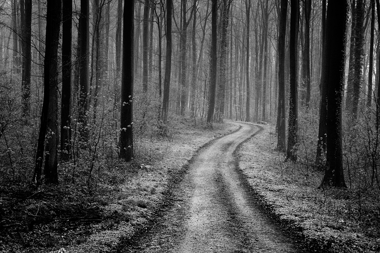 Centrálnosť evanjelia II.