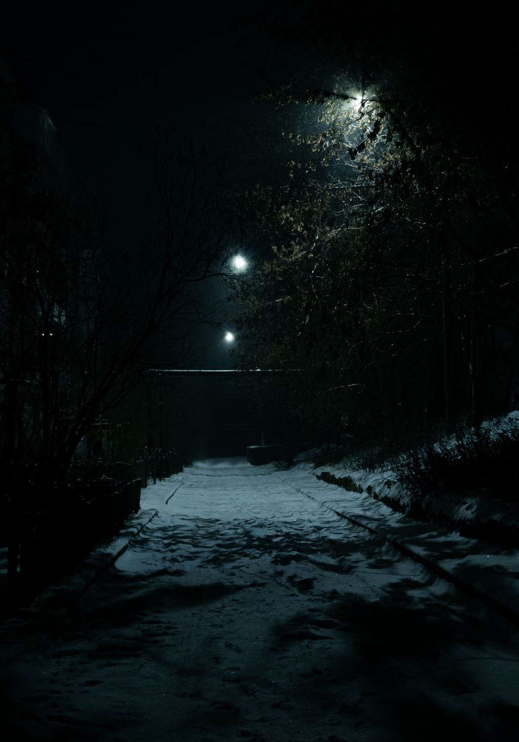 Najdlhšia noc v&nbsp;roku